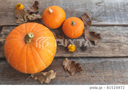 Autumnal Background. Natural autumn fall view pumpkins on wooden background. Inspirational october or september wallpaper. Change of seasons ripe organic food concept, Halloween party Thanksgiving day 81520972