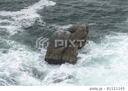 宮城県気仙沼市　海の散歩道 81521145