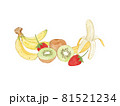 Set of fruit,hand draw sketch vector. 81521234