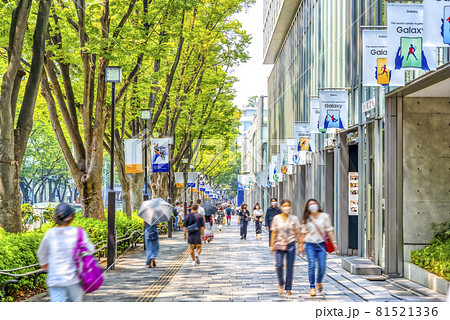 東京渋谷の都市風景 表参道 東京渋谷の都市風景 表参道 81521336