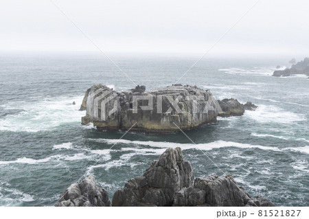 宮城県気仙沼市　海岸の散歩道の発見　 81521827