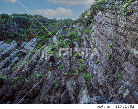 国指定名勝及び天然記念物、柱状節理の俵島 81521982