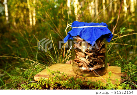Dried Mushrooms in aglass jar on a wooden kitchen board on a background of green grass in the forest 81522154