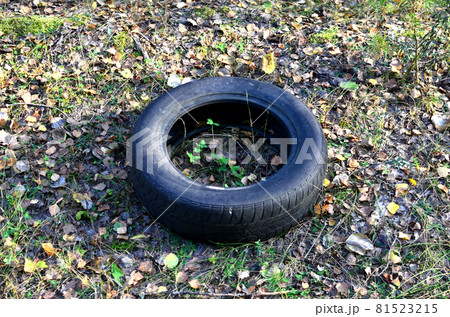 Tire from a car is thrown into the forest. Tire from a car is thrown into the forest. 81523215