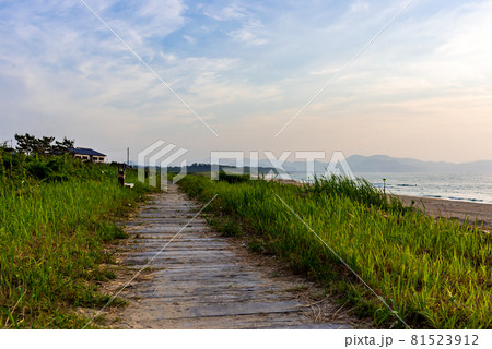 《京都府》夕日ヶ浦海岸　夕日の路 81523912