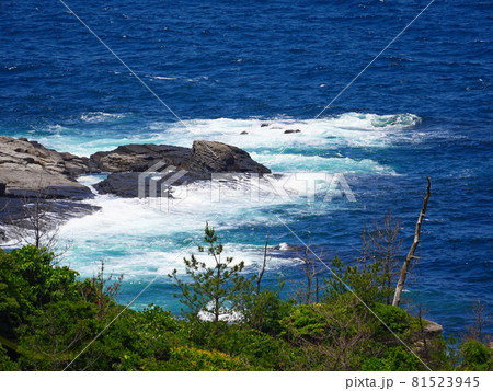 荒波の海苔石園地 81523945
