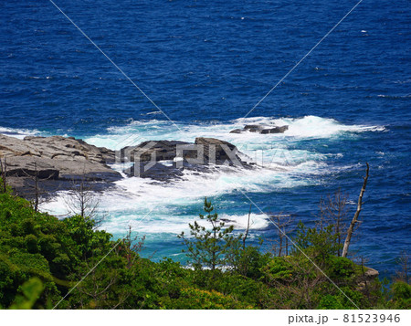 荒波の海苔石園地 荒波の海苔石園地 81523946