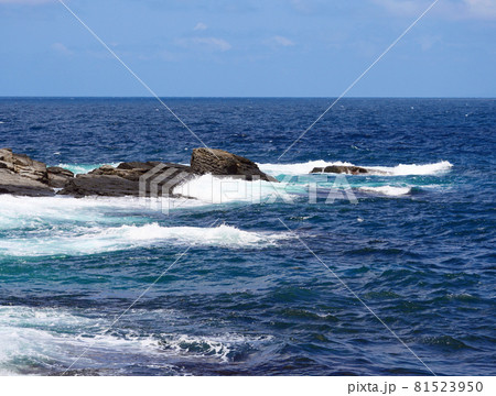 荒波の海苔石園地 荒波の海苔石園地 81523950