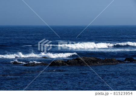 海原の波と青い空 海原の波と青い空 81523954