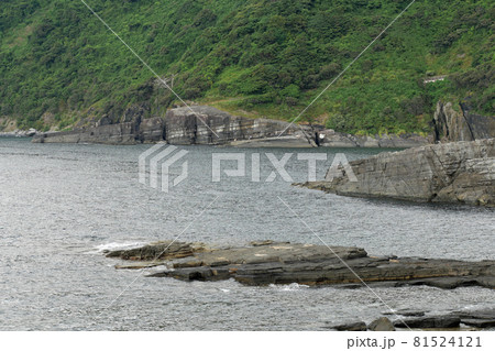 夏の海苔石園地 81524121