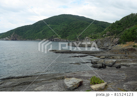 夏の海苔石園地 81524123
