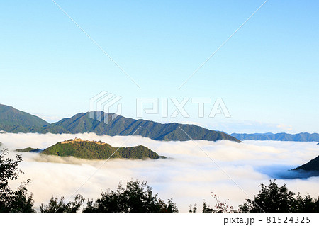【天空の城】早朝の雲海に浮かぶ竹田城 【天空の城】早朝の雲海に浮かぶ竹田城 81524325