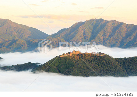 【天空の城】早朝の雲海に浮かぶ竹田城 【天空の城】早朝の雲海に浮かぶ竹田城 81524335