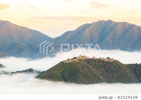 【天空の城】早朝の雲海に浮かぶ竹田城 【天空の城】早朝の雲海に浮かぶ竹田城 81524339