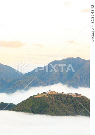 【天空の城】早朝の雲海に浮かぶ竹田城 【天空の城】早朝の雲海に浮かぶ竹田城 81524342