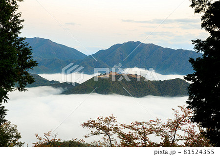 【天空の城】早朝の雲海に浮かぶ竹田城 【天空の城】早朝の雲海に浮かぶ竹田城 81524355