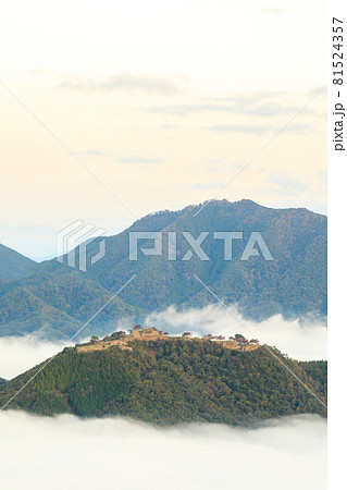 【天空の城】早朝の雲海に浮かぶ竹田城 81524357
