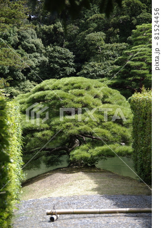 京都 桂離宮 京都 桂離宮 81524456