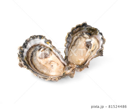 Fresh opened oyster on white background 81524486
