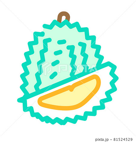 durian fruit color icon vector illustration 81524529