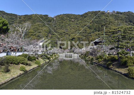 春の吉香公園 81524732