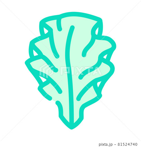 ulva lettuce seaweed color icon vector illustration 81524740