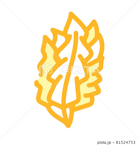 japanese kelp seaweed color icon vector illustration 81524753