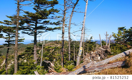 八経ヶ岳の木々 八経ヶ岳の木々 81525252
