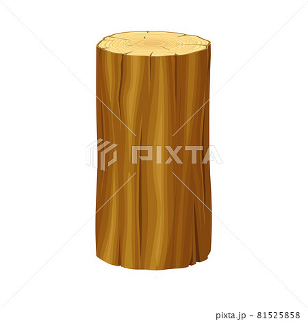 Tree Trunk or Timber Cross Section Vector Illustration Tree Trunk or Timber Cross Section Vector Illustration 81525858