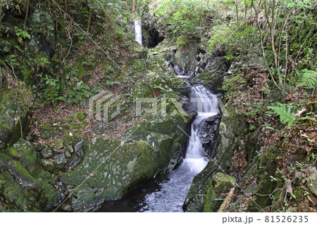 滝山の大滝 滝山の大滝 81526235