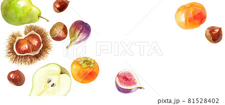 秋のフルーツの俯瞰水彩イラストのアシンメトリーバナー背景 栗 柿 イチジク 洋梨 のイラスト素材