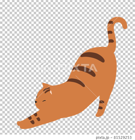 伸びをする猫のイラスト トラ猫のイラスト素材