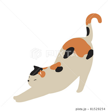 伸びをする猫のイラスト-ミケ猫 81529254