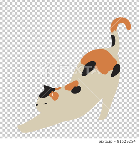 伸びをする猫のイラスト-ミケ猫 81529254