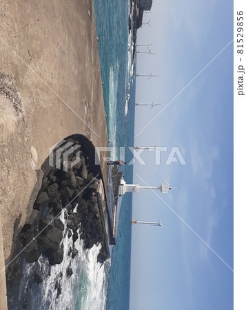 浜 風景 姿 81529856