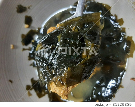 済州 名物 特色 81529859