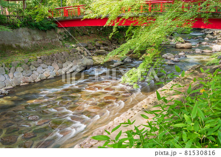 (静岡県)修善寺温泉 桂川 (静岡県)修善寺温泉 桂川 81530816