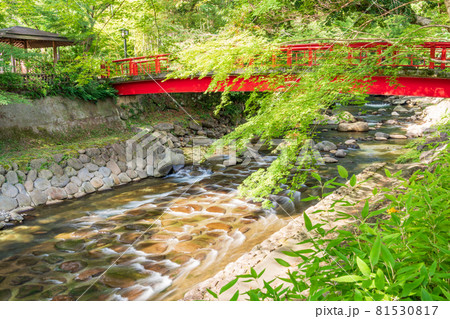 （静岡県）修善寺温泉　桂川 81530817