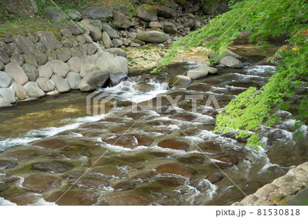 （静岡県）修善寺温泉　桂川 81530818