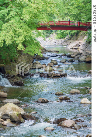 (静岡県)修善寺温泉 桂川 楓橋 (静岡県)修善寺温泉 桂川 楓橋 81530820