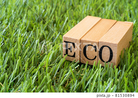 エコのイメージ｜芝生の上の「ECO」と書かれたスタンプ 81530894