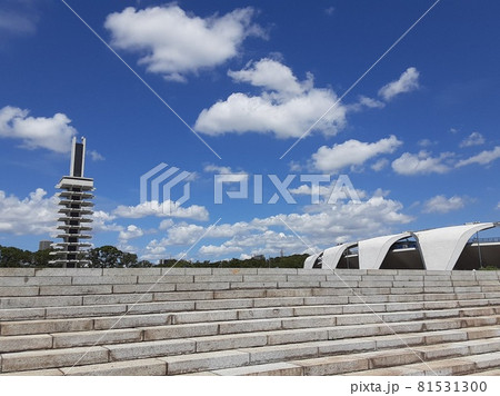 東京都民の憩いの場、駒沢公園の真夏の風景 東京都民の憩いの場、駒沢公園の真夏の風景 81531300