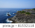 石廊崎　 伊豆の絶景 81532118