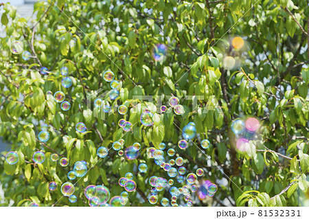 シャボン玉 81532331