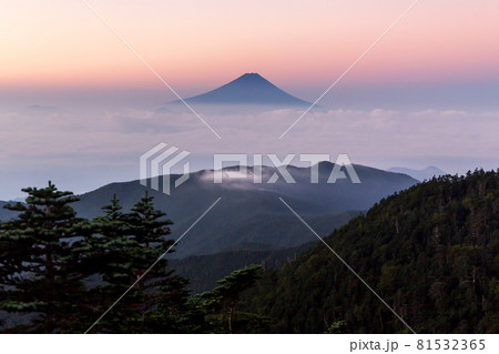 夜明けの国師ヶ岳から雲海に浮かぶ富士山 夜明けの国師ヶ岳から雲海に浮かぶ富士山 81532365