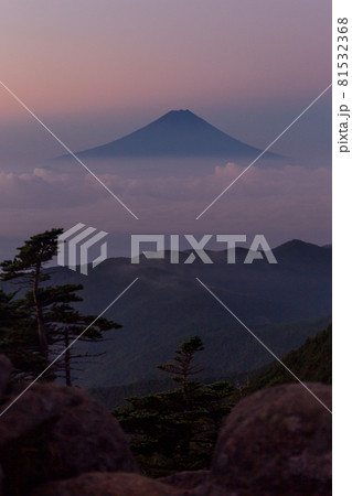 夜明けの国師ヶ岳から雲海に浮かぶ富士山 81532368