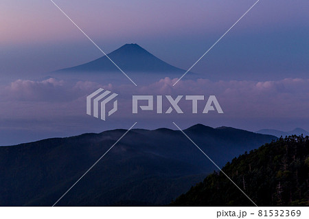 夜明けの国師ヶ岳から雲海に浮かぶ富士山 81532369