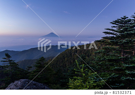 夜明けの国師ヶ岳から雲海に浮かぶ富士山 81532371