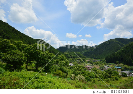 八王子の里山 陣馬街道恩方の初夏 八王子の里山 陣馬街道恩方の初夏 81532682