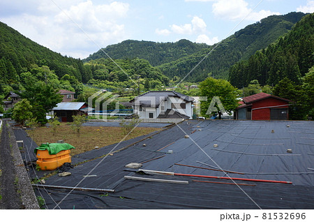 八王子の里山　陣馬街道恩方の初夏 81532696